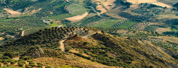 agro tourism crete